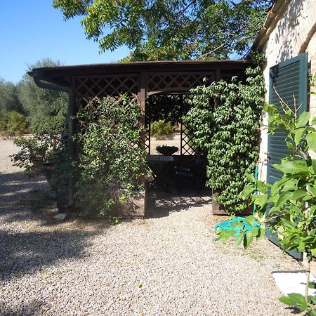 Fontemaggio Apartment Colle Val D'Elsa Exterior foto